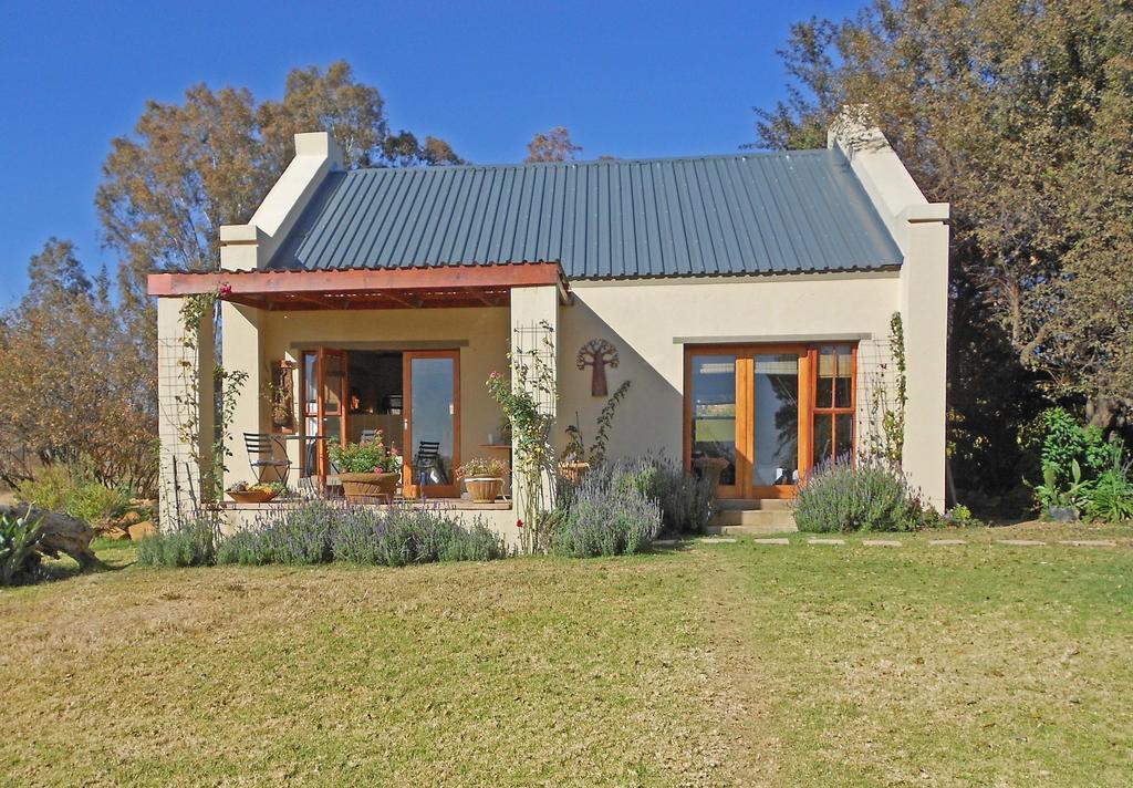 מולדרסדריפט Hartley Manor Guest House מראה חיצוני תמונה